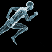 Γιατί κάποιοι δρομείς δεν τραυματίζονται ποτέ;