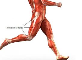 Κατανοώντας την λαγονοκνημιαία ταινία