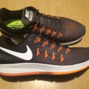 Nike Pegasus 33