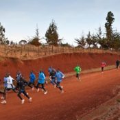 Polarized training: ο βέλτιστος καταμερισμός του χρόνου προπόνησης σε διαφορετικές καρδιακές ζώνες άσκησης για την μεγιστοποίηση της αντοχής