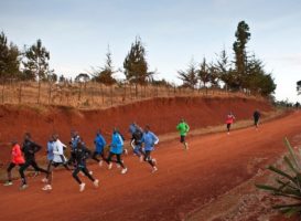Polarized training: ο βέλτιστος καταμερισμός του χρόνου προπόνησης σε διαφορετικές καρδιακές ζώνες άσκησης για την μεγιστοποίηση της αντοχής