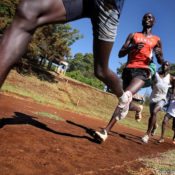 Διάρθρωση της αντοχής