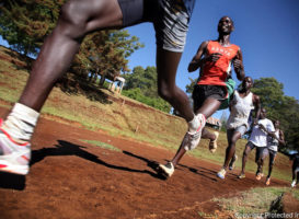 Διάρθρωση της αντοχής