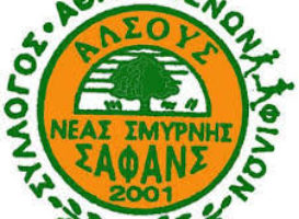 ΣΥΣΤΑΣΗ ΝΕΟΥ ΔΙΟΙΚΗΤΙΚΟΥ ΣΥΜΒΟΥΛΙΟΥ Σ.Α.Φ.Α.Ν.Σ.