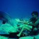 Ντοκιμαντέρ DOLPHIN MAN-Πρεμιέρα 1η Φεβρουαρίου