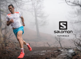 SALOMON TUTORIALS #01