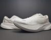 Dynafish Xiaonian