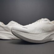 Dynafish Xiaonian