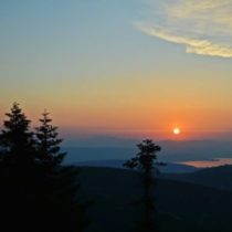 Εικόνα προφίλ του/της μονάχα έξω στη φύση