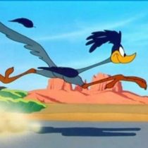 Εικόνα προφίλ του/της pavloska